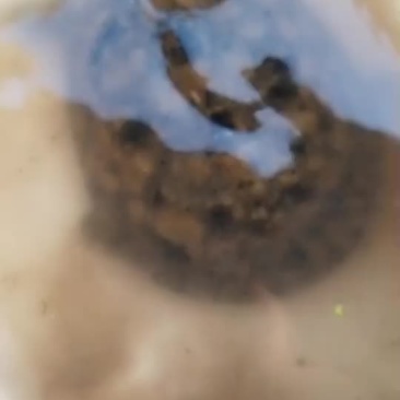 现在的视频都是现货要货的赶紧下单
