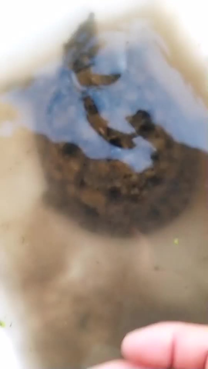 现在的视频都是现货要货的赶紧下单