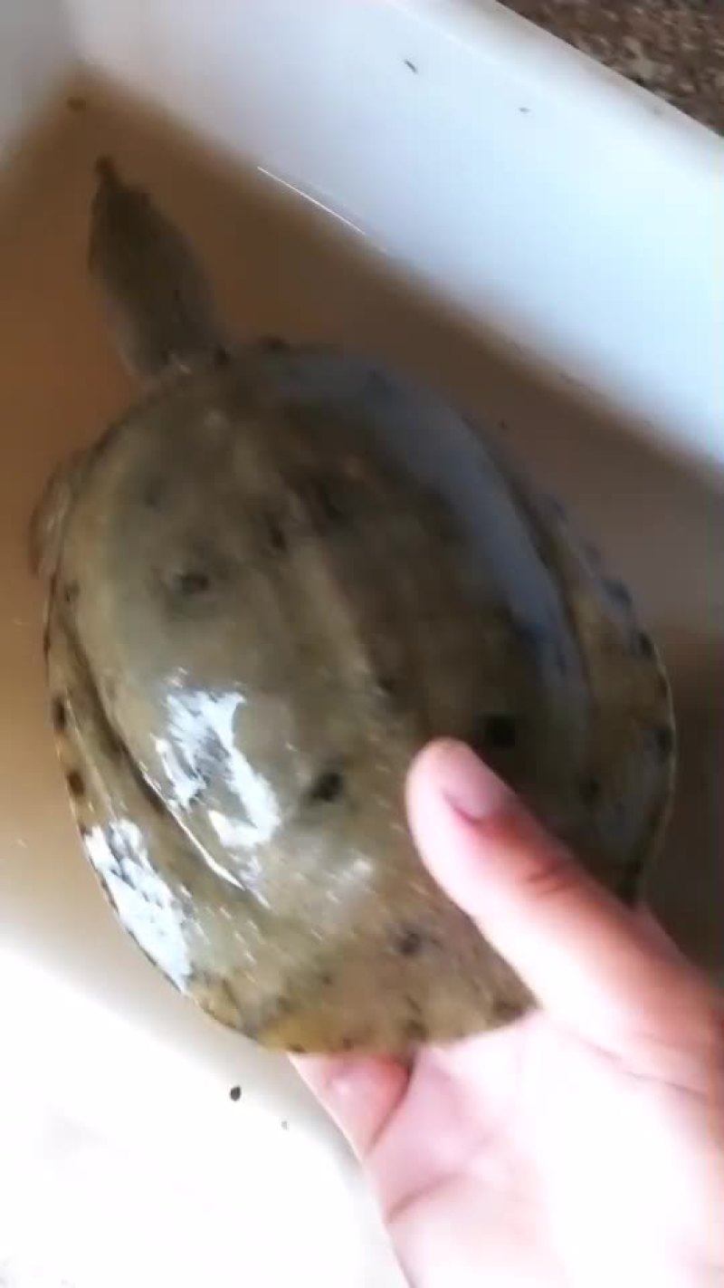 现在的视频都是现货要货的赶紧下单