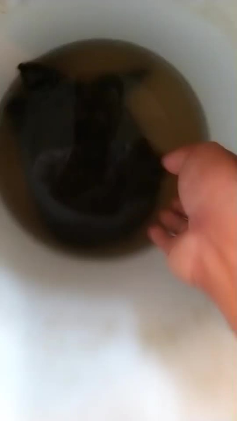现在的视频都是现货要货的赶紧下单