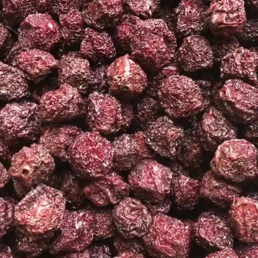 天然原味李干/产地直发，品质好需要的老板联系