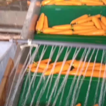 红罗卜上事