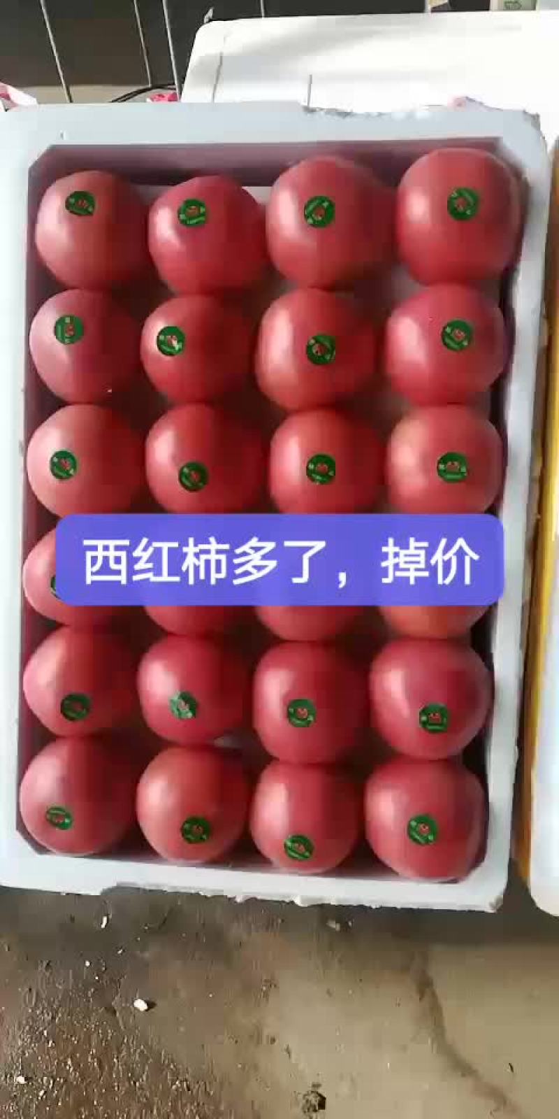 西红柿