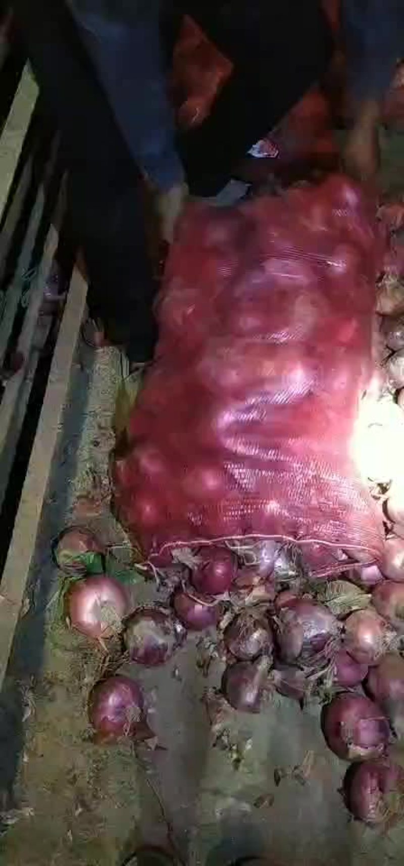 洋葱