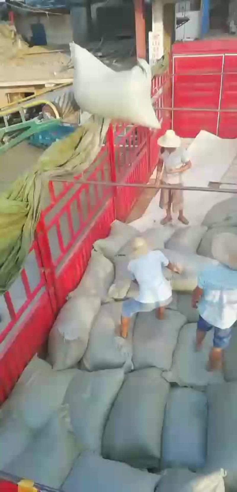 厂家直销优质稻壳