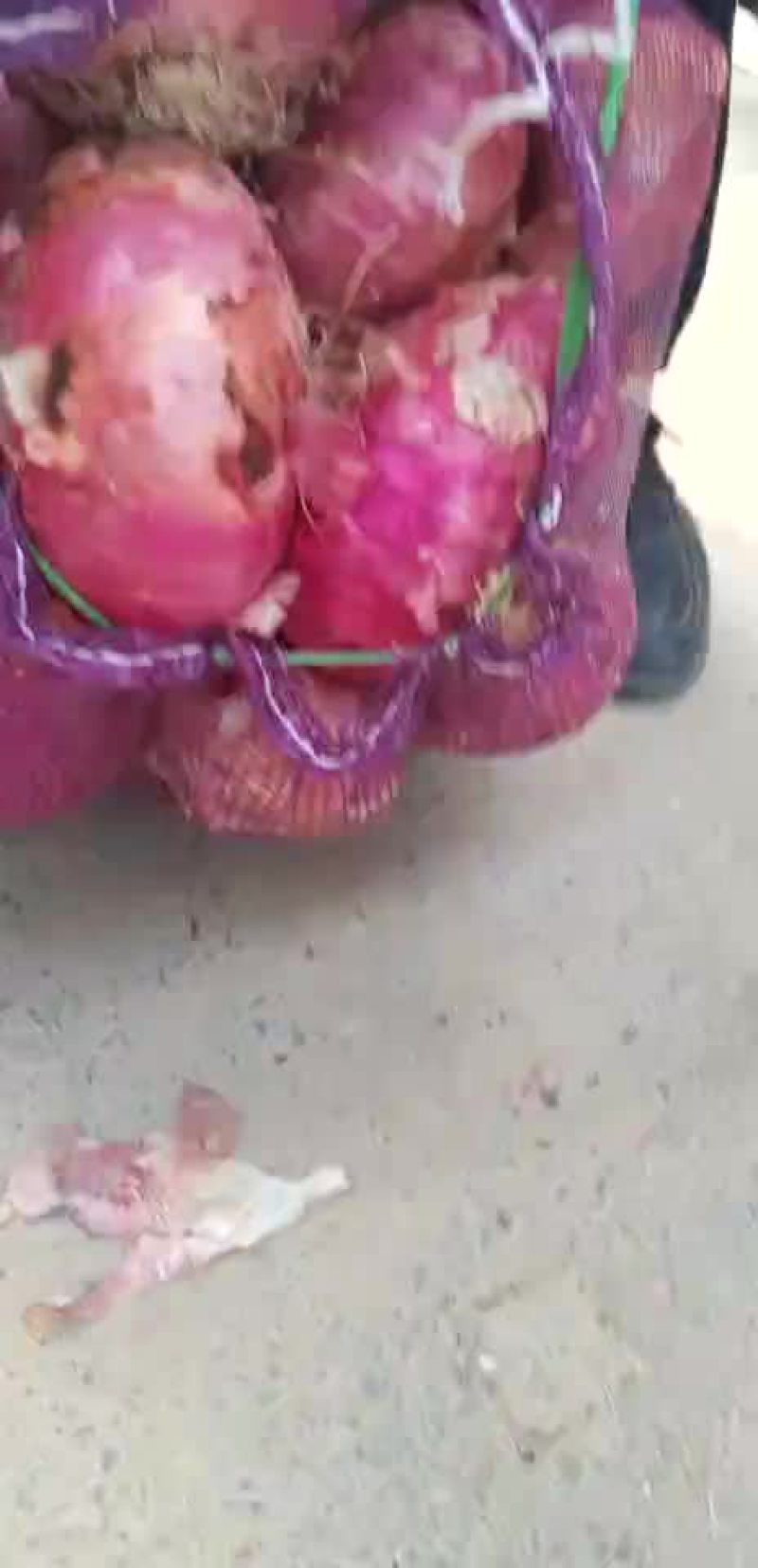 洋葱，冷库二红洋葱