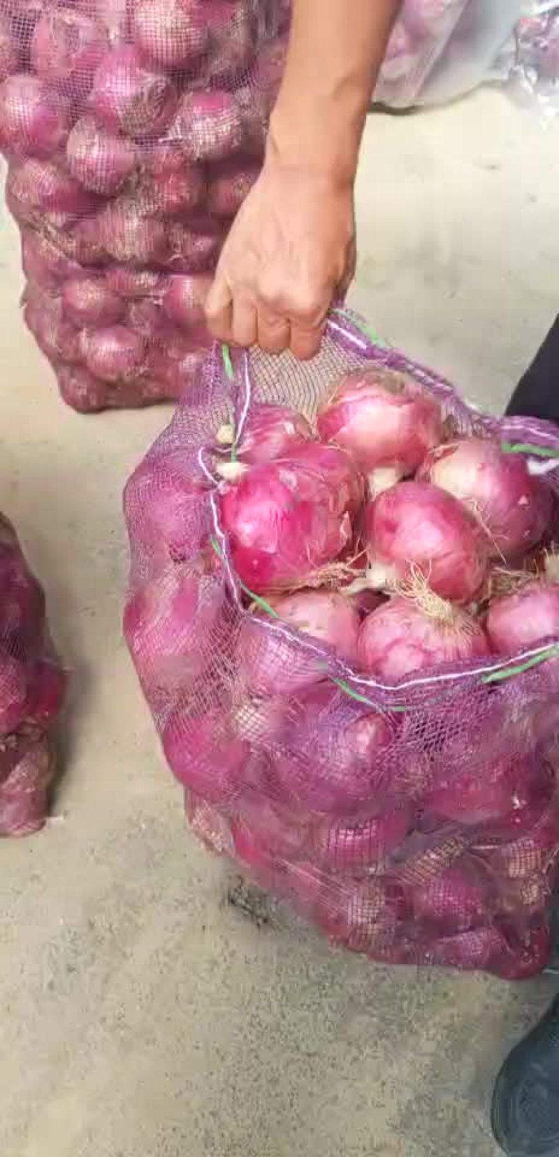 洋葱，冷库二红洋葱
