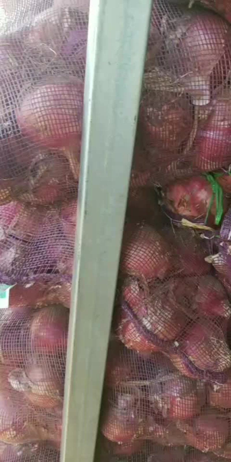 洋葱，冷库二红洋葱
