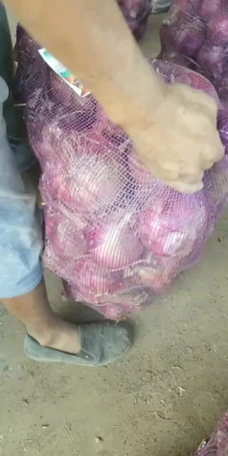 洋葱，冷库二红洋葱