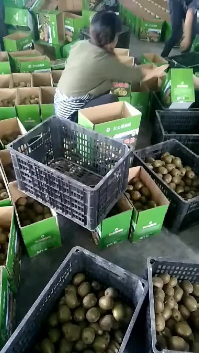 猕核桃
