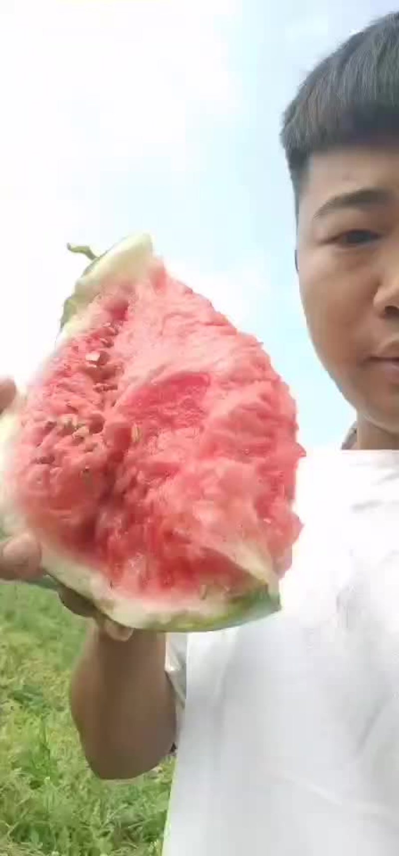 西瓜🍉