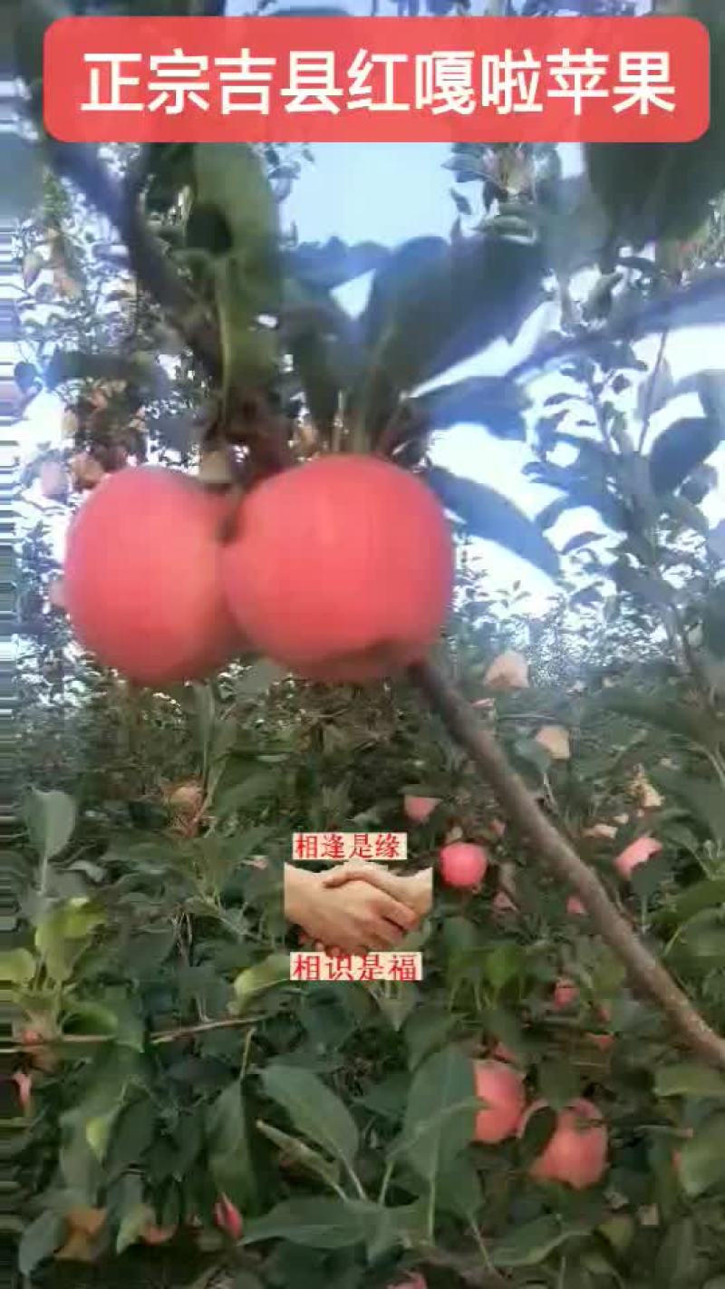 吉县嘎啦