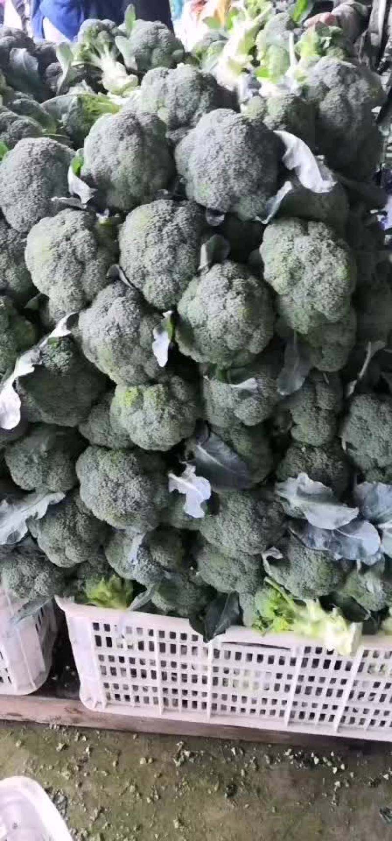 西兰花，打包，代收，代加工
