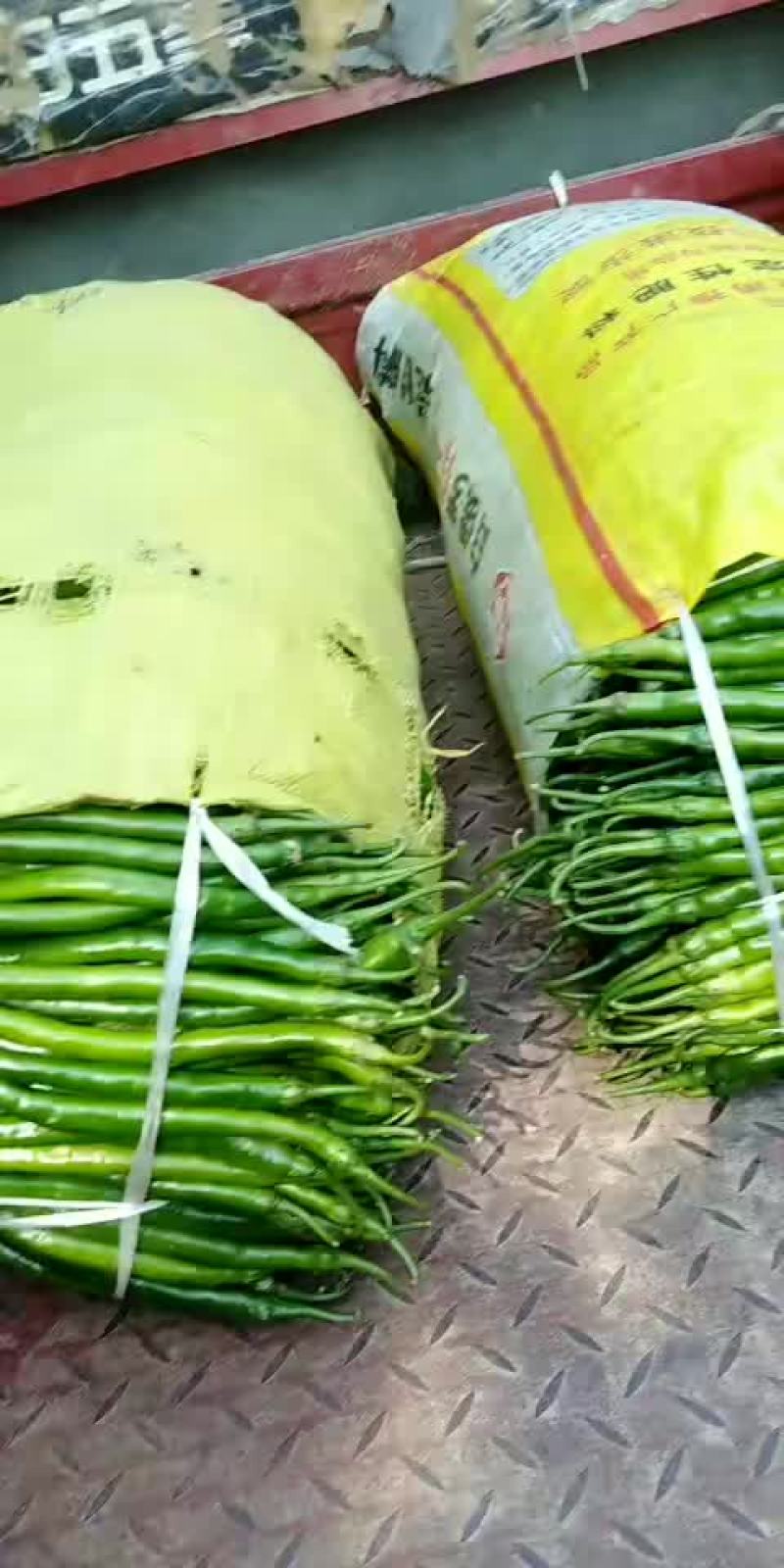 辣椒