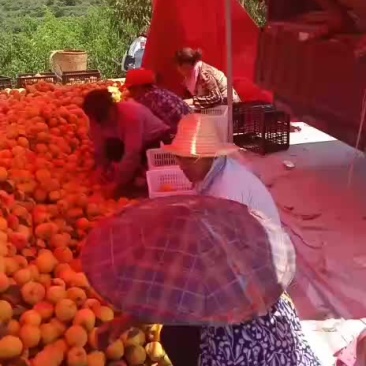 黄桃