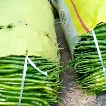 好辣椒