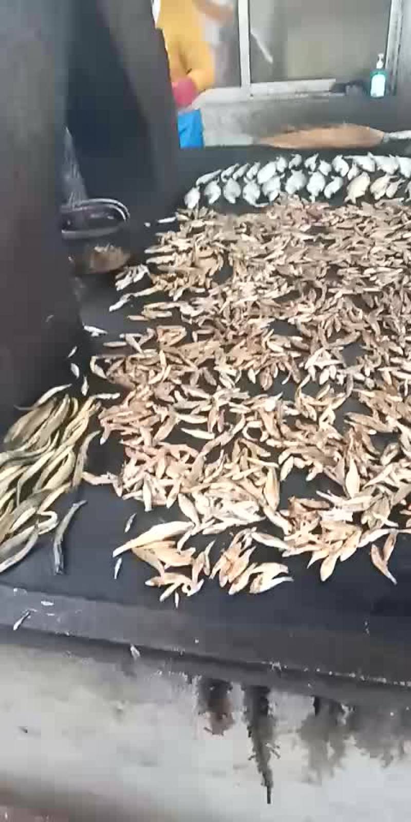 柴火烤禾稿公鱼，麦穗鱼，青嫩子