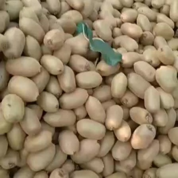 猕猴桃