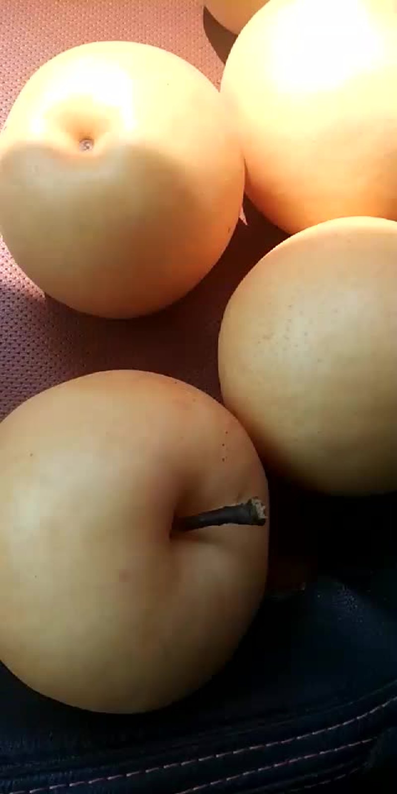 露天梨