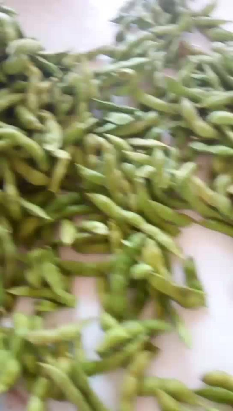 精品毛豆绿宝石