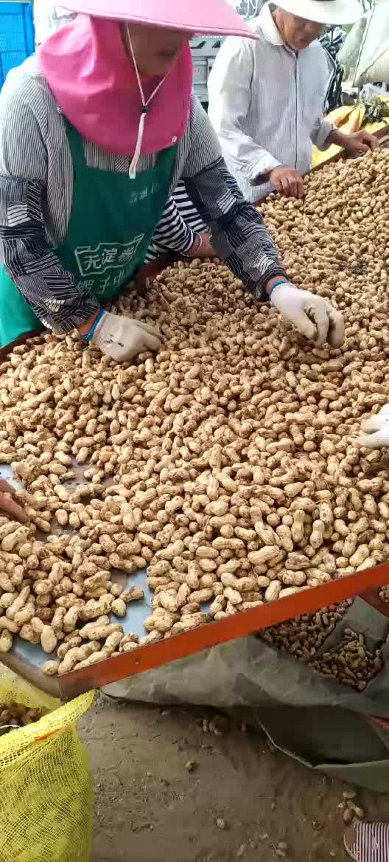 鲜花生