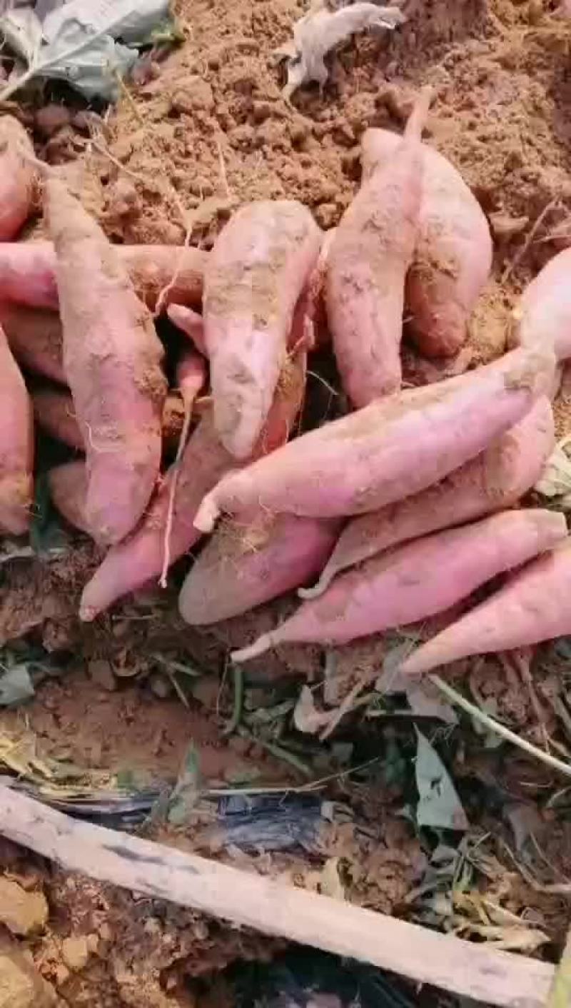 一到三两，三六两一斤半都有