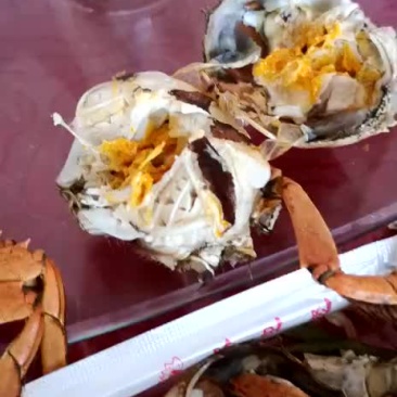 河蟹批发零售