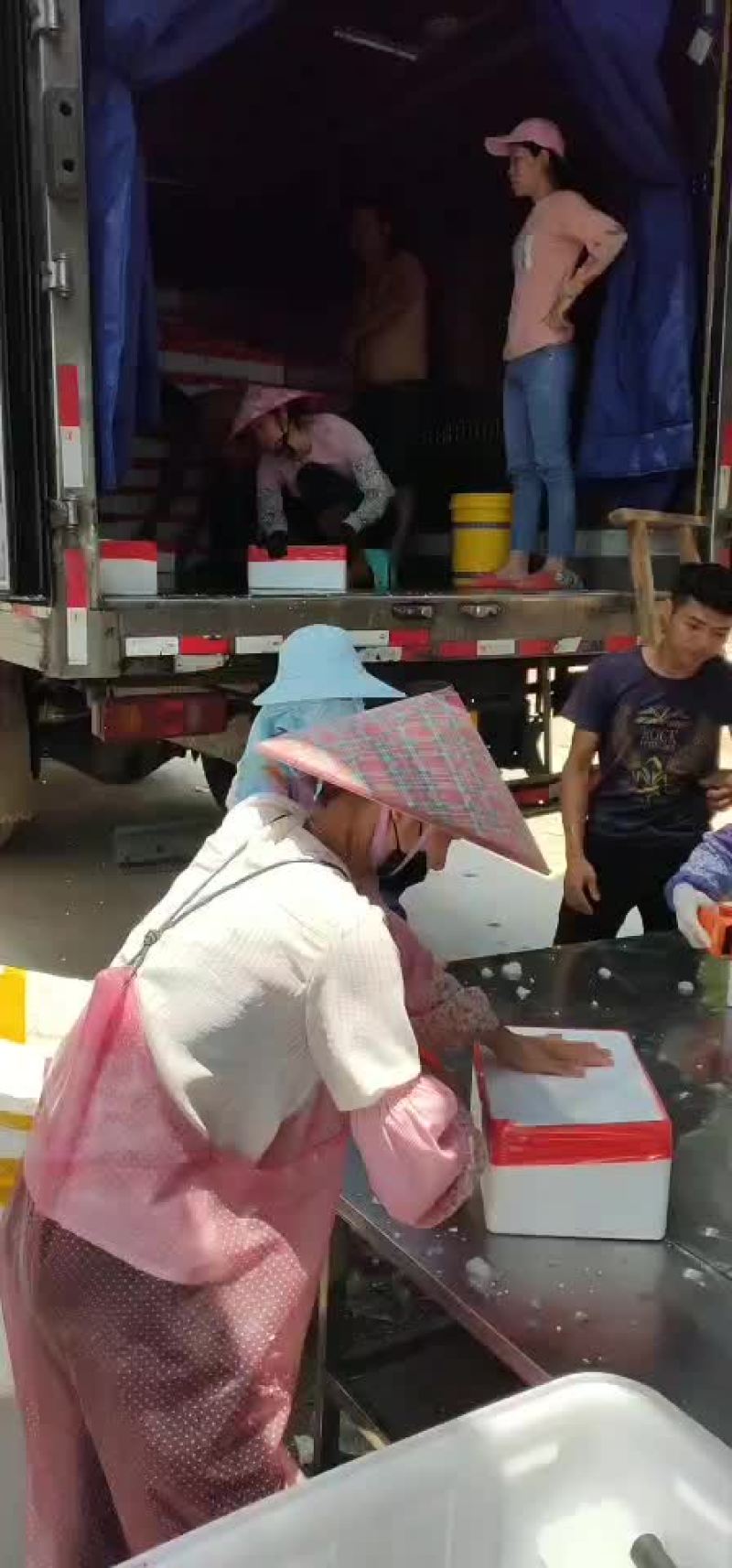 生蚝