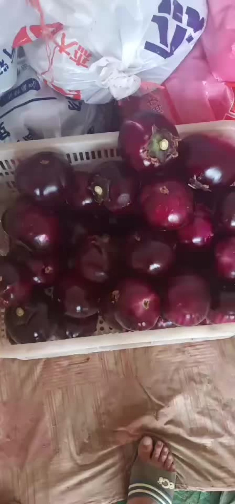 茄果类