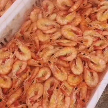 虾干