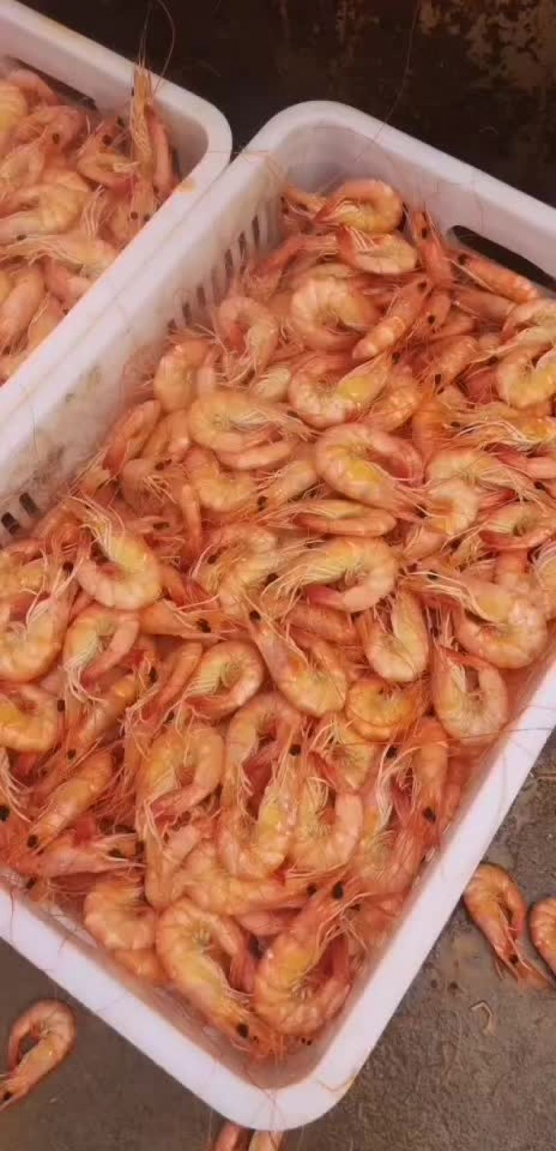 虾干