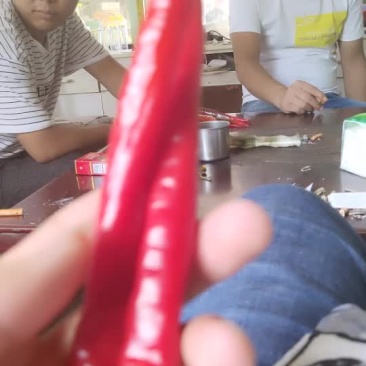 辣椒
