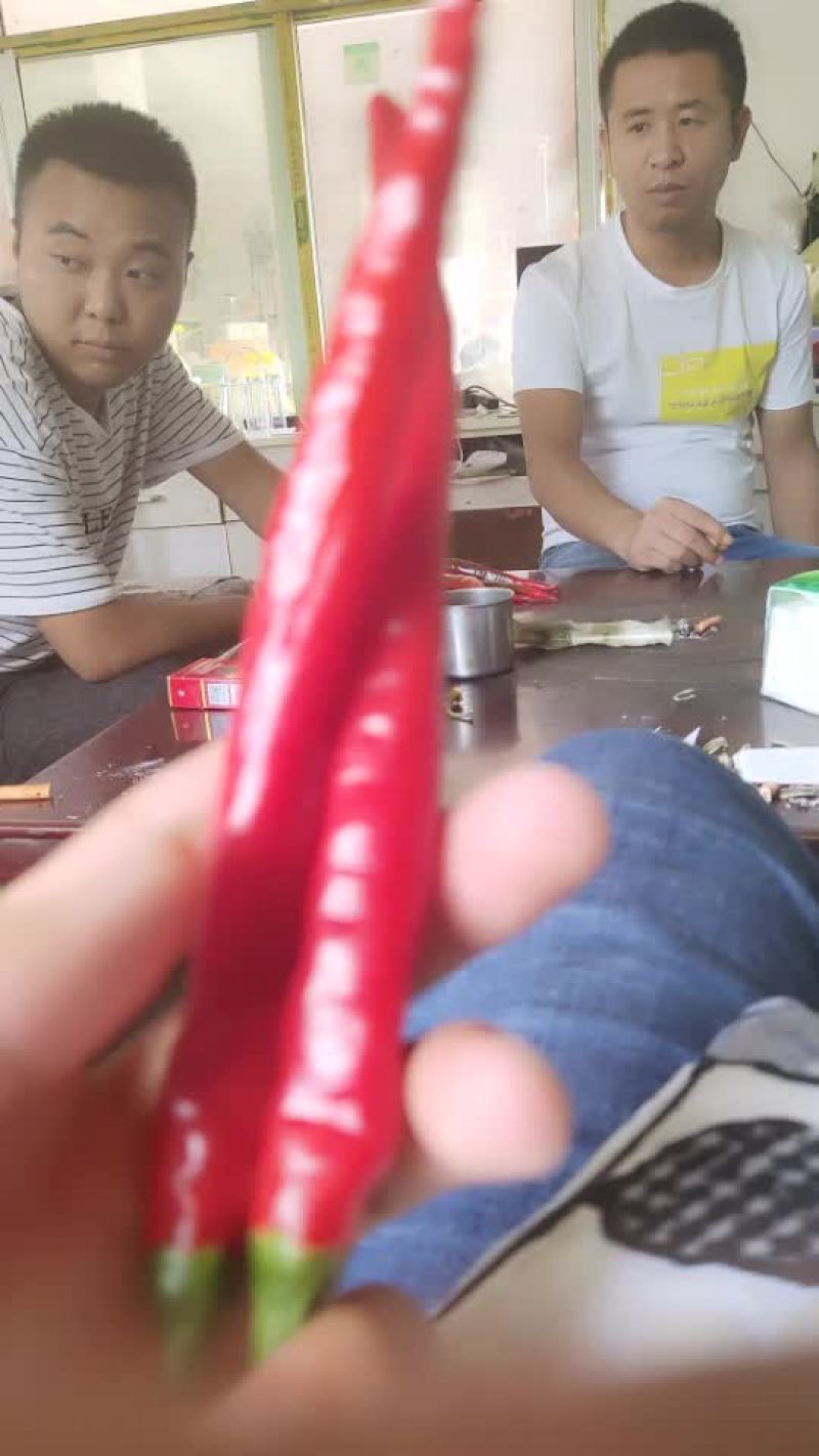 辣椒
