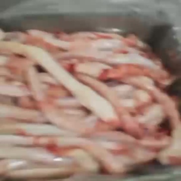 羊三宝油腰羊鞭羊宝