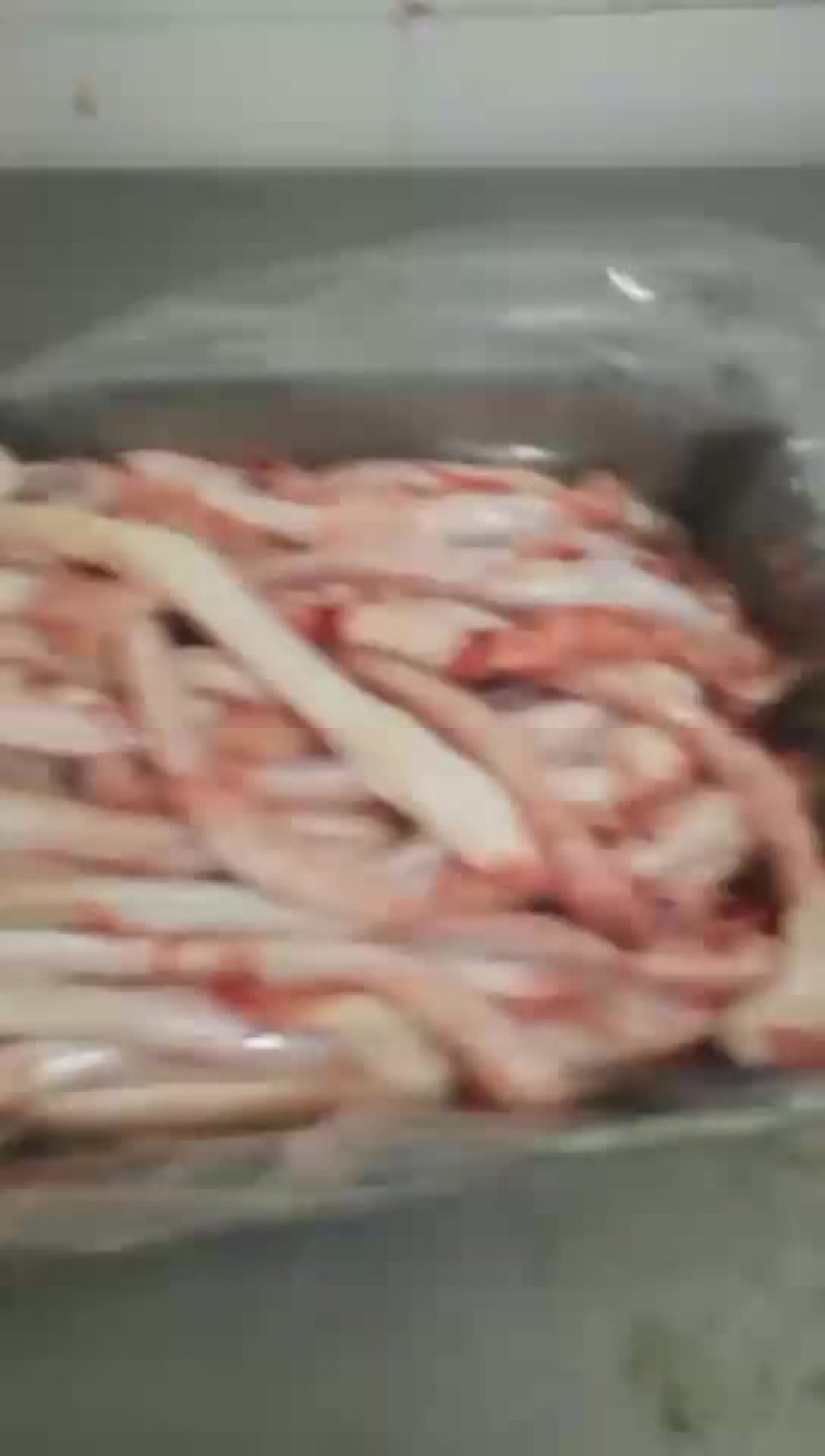 羊三宝油腰羊鞭羊宝