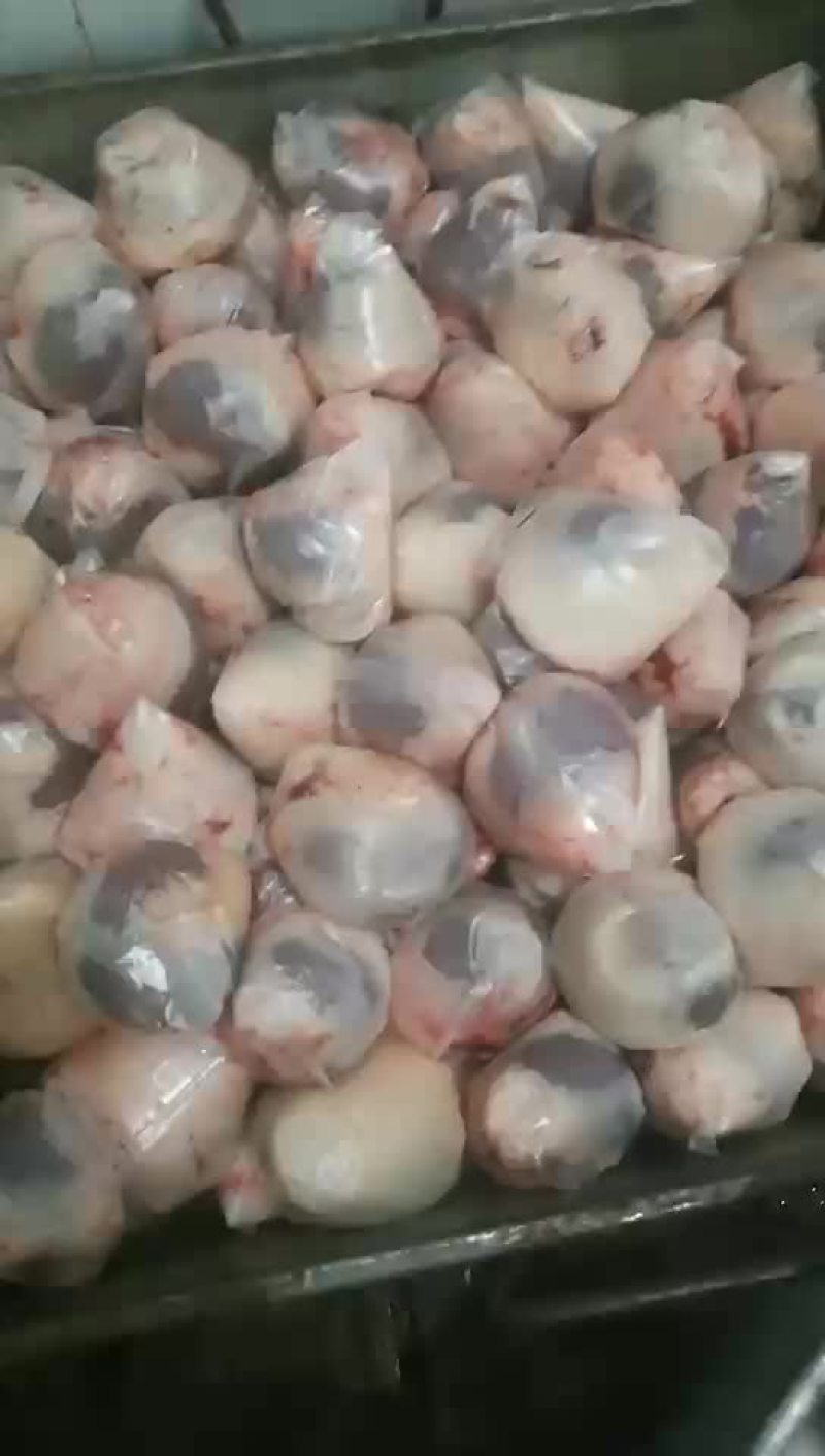 羊三宝油腰羊鞭羊宝