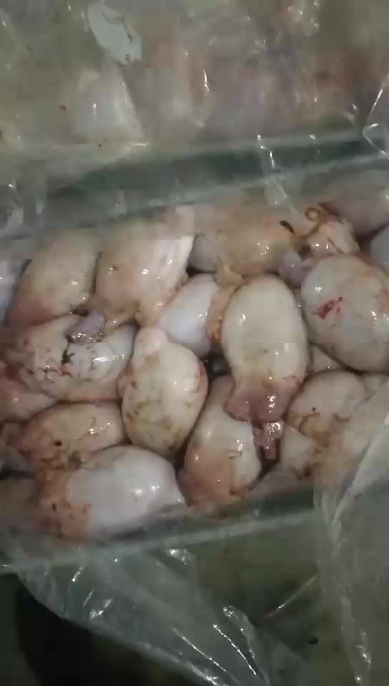 羊三宝油腰羊鞭羊宝