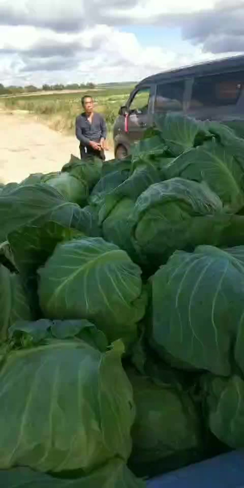 甘兰
