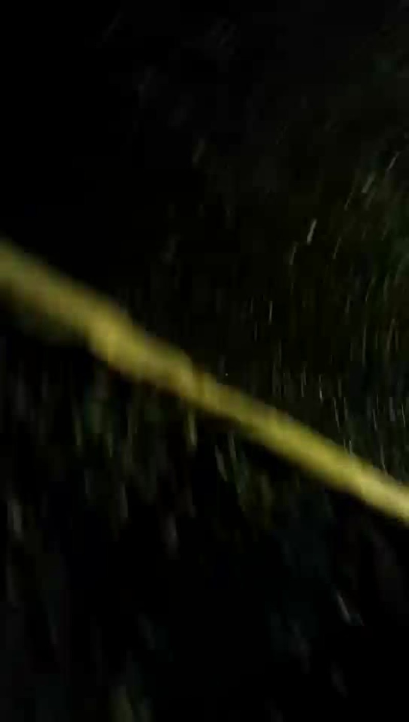 大量出售蛐蛐