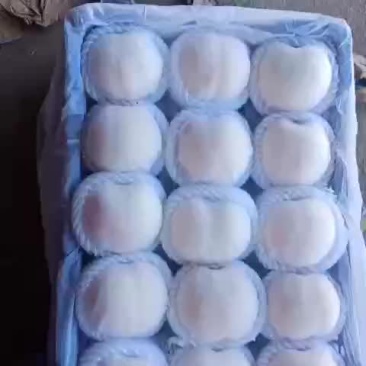 白桃红桃都有