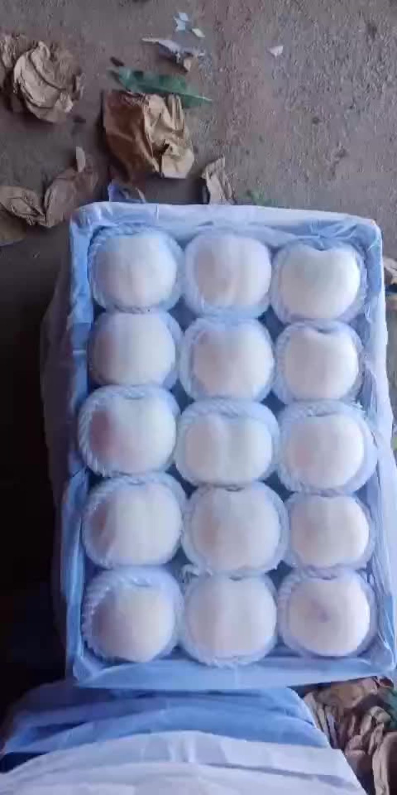 白桃红桃都有
