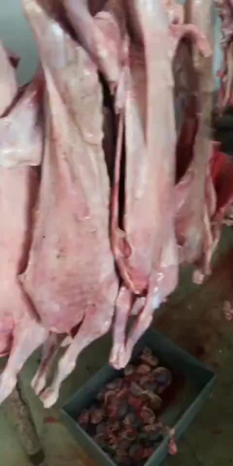 羊肉