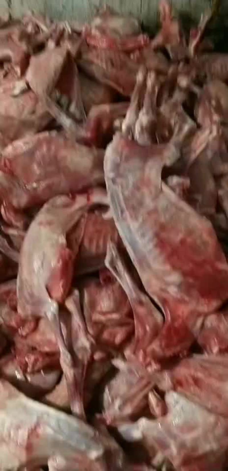 羊肉
