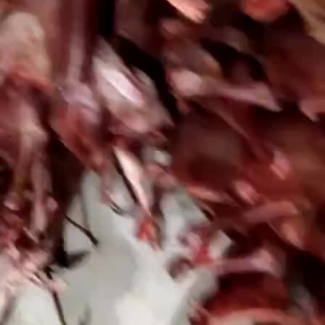 羊肉
