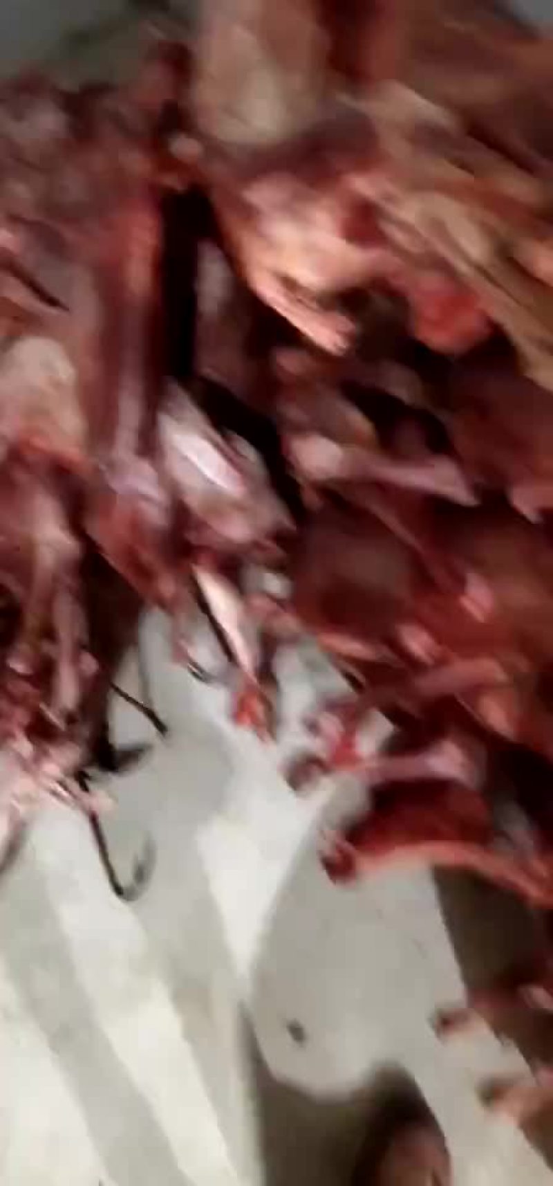 羊肉