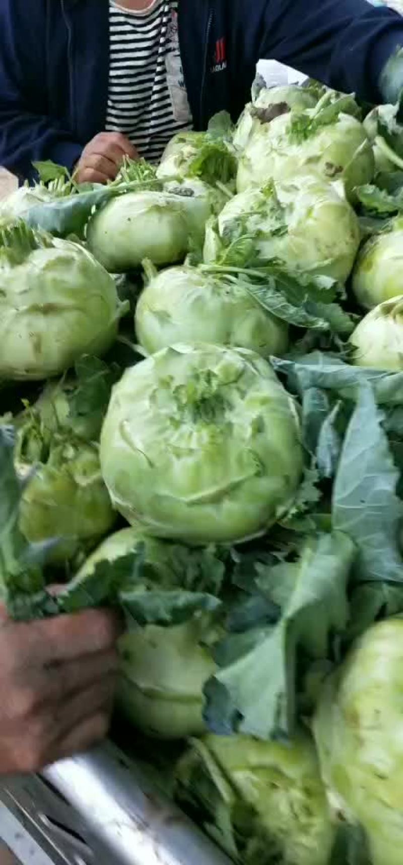苤蓝，水果的