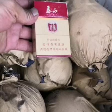 皇冠梨水晶梨丰水梨