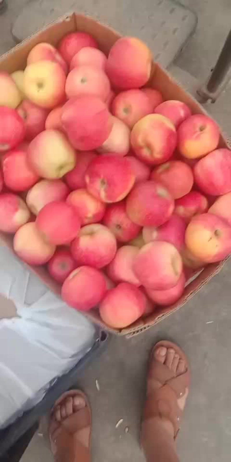 苹果