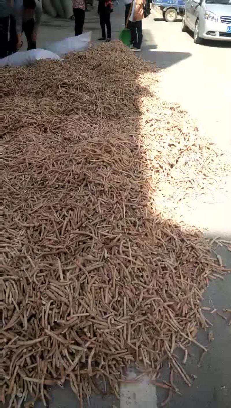 下脚料白芍，白芍粉，药厂中药下角料