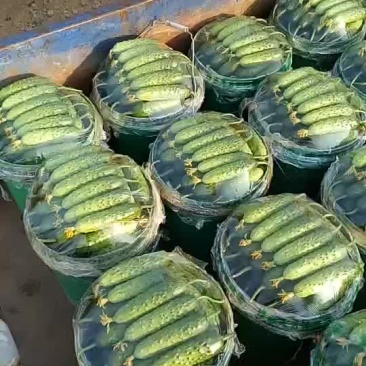 这好还说我不收，收了